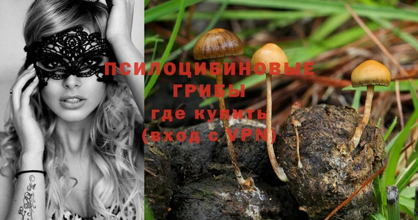 МДМА Осинники