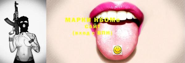 шишки Няндома