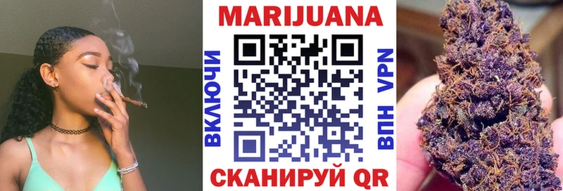 купить наркоту  Серафимович  Бошки Шишки конопля 